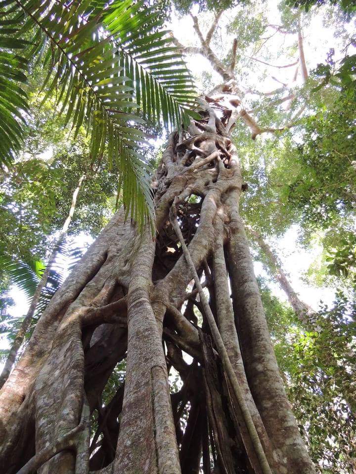 Thumbnail for 5 Reasons Small Group Travel is Perfect for Nature Lovers