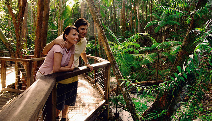 Rainforest at Eli Creek on Fraser Island